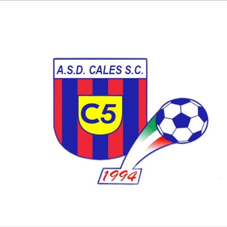 club details banner preview